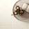 Коннект Перл Керамогранит светло-серый SG624920R 59,5х59,5 матовый_8